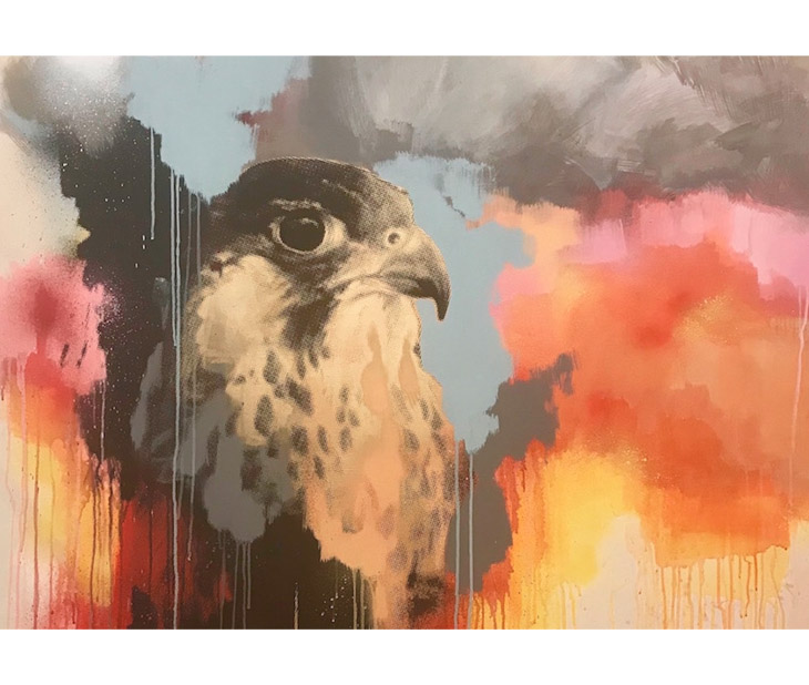 'Peregrine Study' by Jim Starr, represented by The Paragon Gallery.